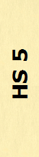 HS 5