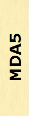MDA5